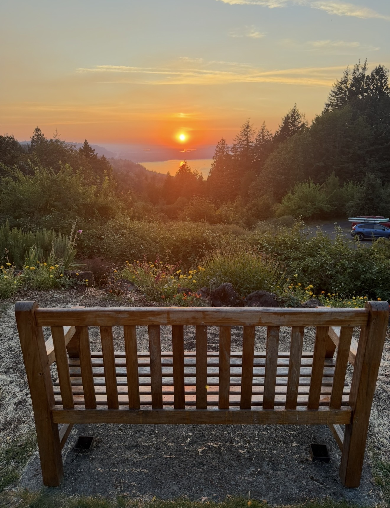 Wooden bench overlooking a forested valley and water at sunset