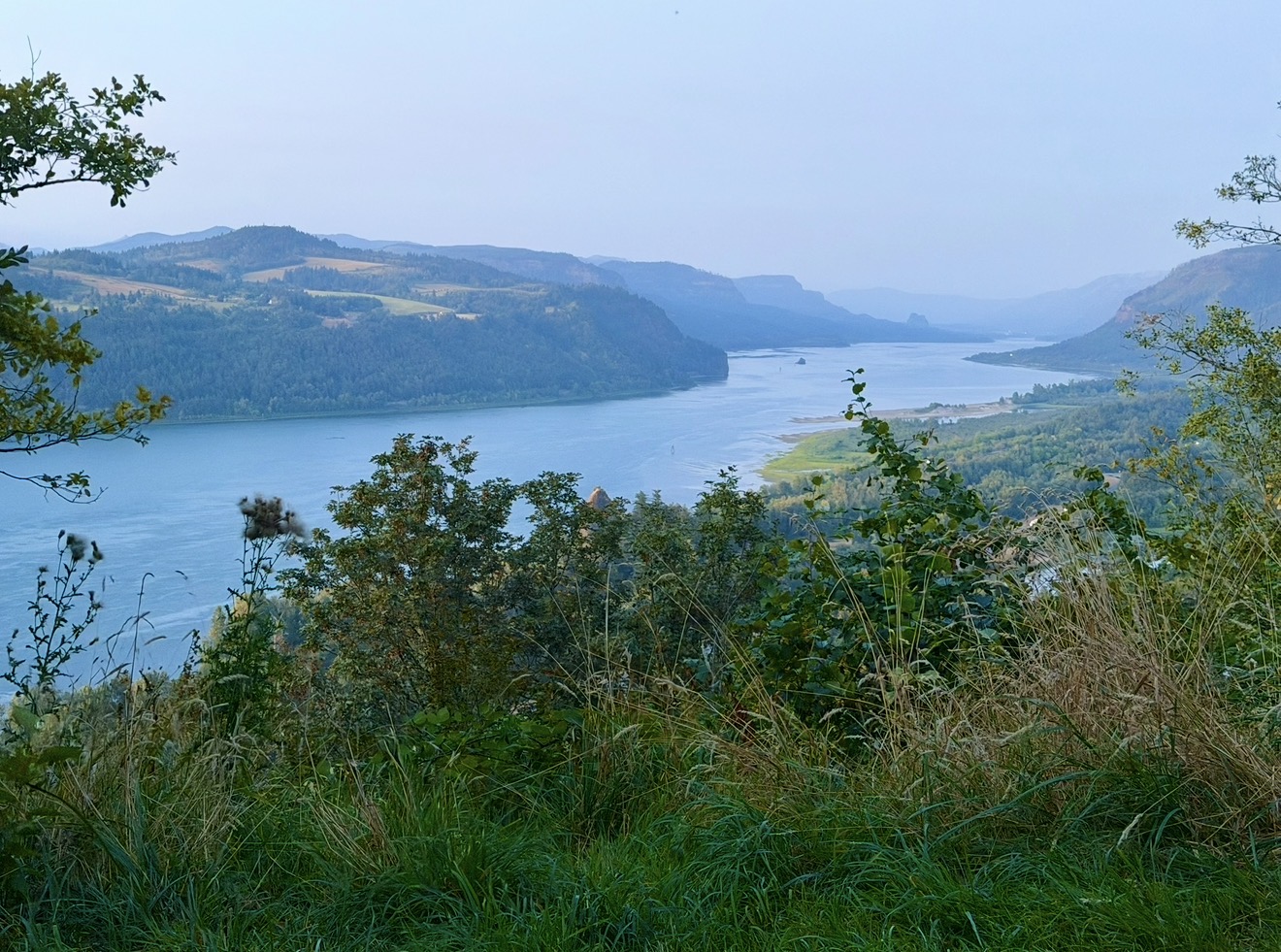 Columbia River winding through the forested Columbia Gorge